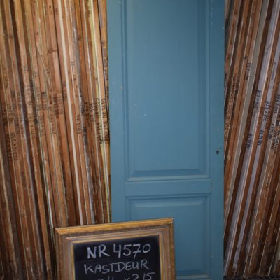 Blauwe Kastdeur met 2 Frames - 72,5x215cm  - NR. 4570