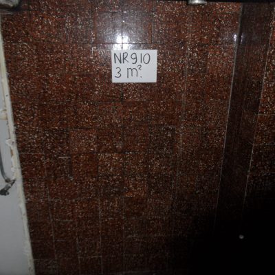 Schildkrötenfliesen Nr. 910