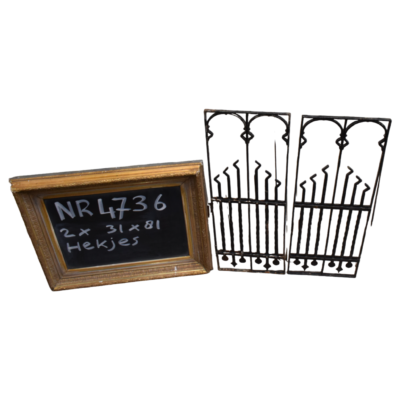 Türgitter 2er Set 31x81 cm Nr. 4736