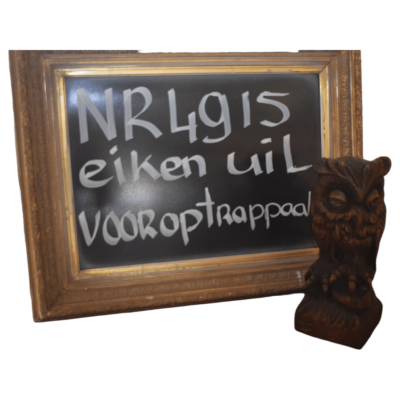 Oak Owl Front Pickup Pole - Einzigartiges Design NR. 4915